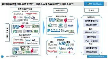 以2.0思维指导2.0投资 我国医疗健康领域投资分析报告