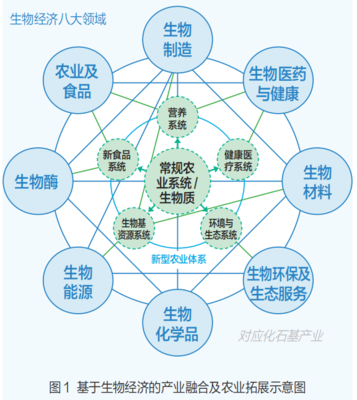 媒体农大/科技之窗