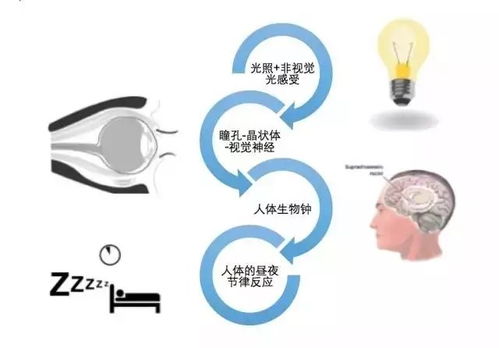 照明行业,什么是照明行业 照明行业的最新报道