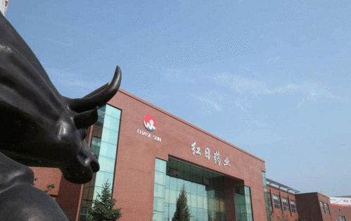 数亿元高额投资实锤,红日药业要中药颗粒产业巨轮启航