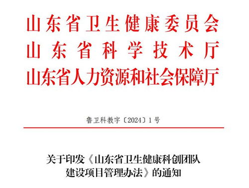 5年遴选300个 山东省卫生健康科创团队来了