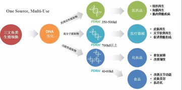 三文鱼,再生医学界炙手可热的超级网红