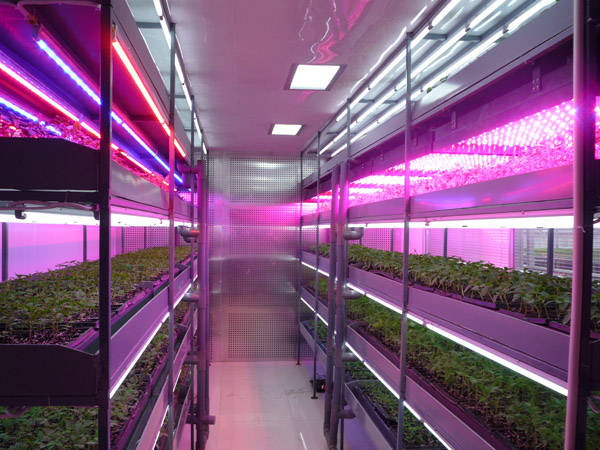 日本能否把植物工厂做成“出口产业”?