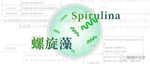 定了 螺旋藻进入保健食品原料目录