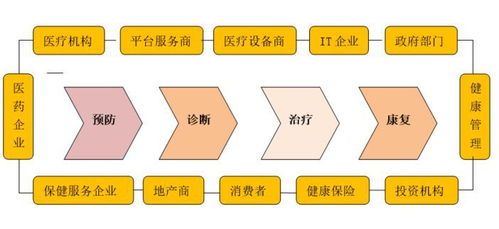 中国大健康产业系列研究 产业评估要点研究