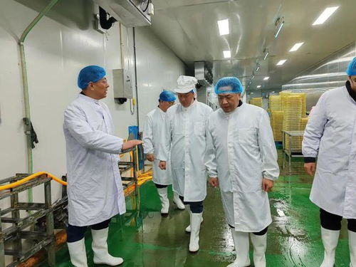 感知山东 昌邑市领导走访调研速冻调制生制鸡产品行业企业