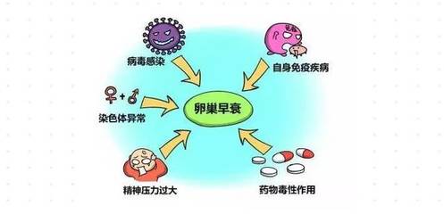 #斯德姆#干细胞调理卵巢早衰:让您拥有更多的健康卵子