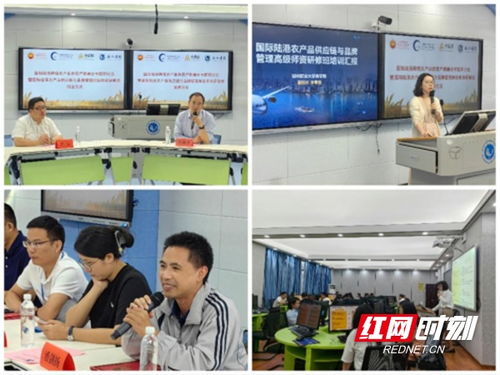 2024国际陆港跨境农产品贸易产教融合专题研讨会在怀化举行