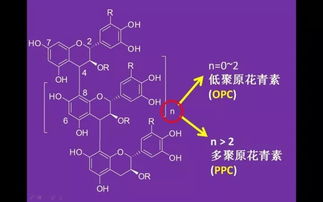 神奇的生物剪刀