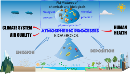 国家科学进展综述:生物气溶胶融汇空气质量、气候系统和人类健康