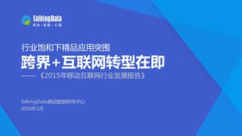 2015年移动互联网行业发展报告 研究报告 流媒体网