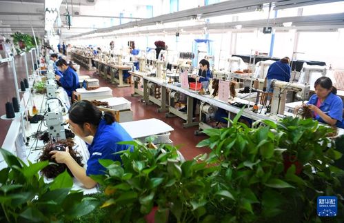 中国假发 秀 出海外凤凰网河南