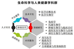 为人类健康贡献 厦大智慧
