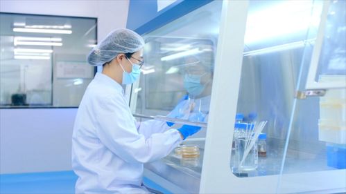 BL-99益生菌研究成果在《自然》子刊发表 为消化不良症状提供新解决方案