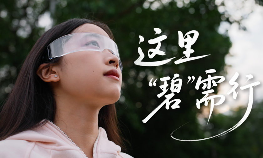 入读碧职